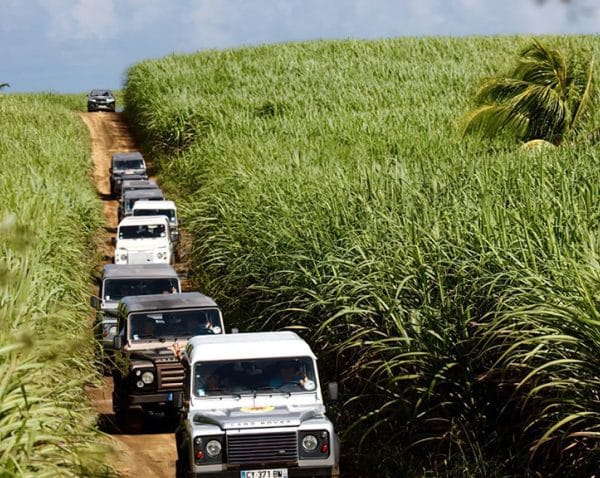 Excursions en 4x4