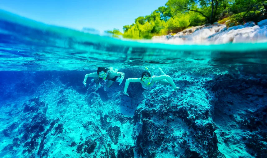 Immersion Nature